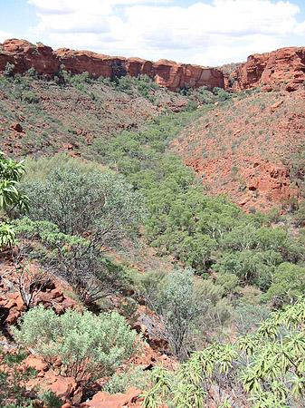 Kings Canyon