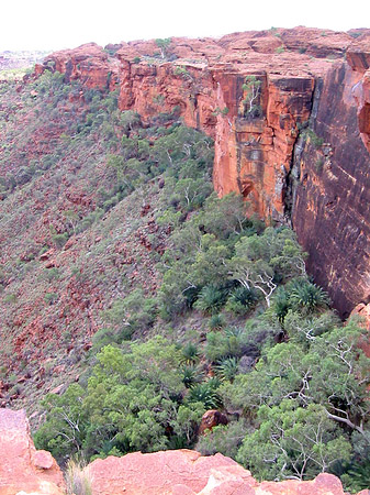 Fotos Kings Canyon