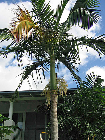 Fotos Hotel in Early Beach