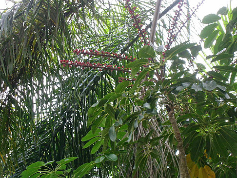 Fotos Billabong Wildlife Park | 
