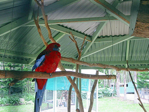 Billabong Wildlife Park