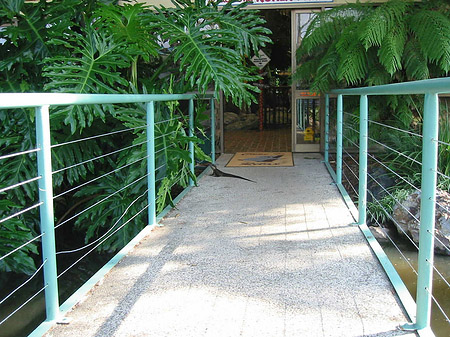 Foto Billabong Wildlife Park - 