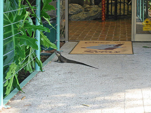 Billabong Wildlife Park