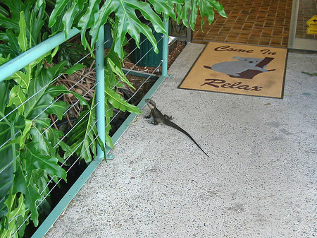 Billabong Wildlife Park Foto 