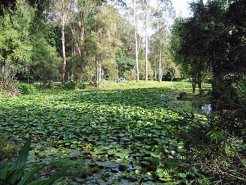 Fotos Billabong Wildlife Park