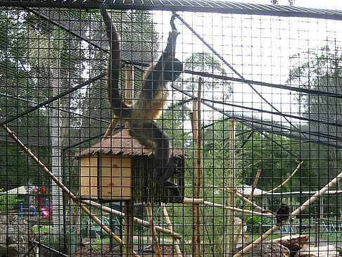 Fotos Billabong Wildlife Park