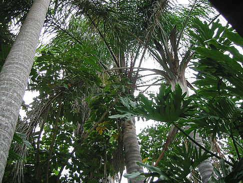 Billabong Wildlife Park Foto 
