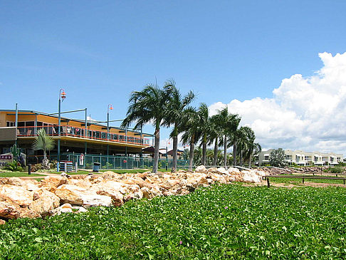 Darwin Fotos