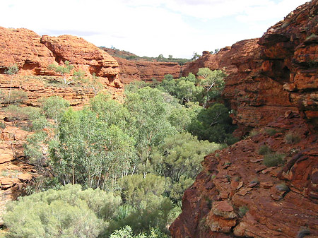Kings Canyon Fotos