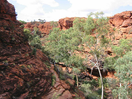 Kings Canyon Foto 