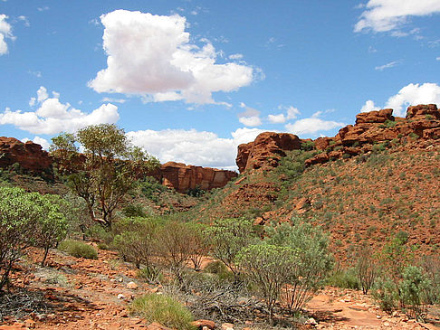 Kings Canyon Fotos