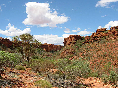 Kings Canyon Fotos