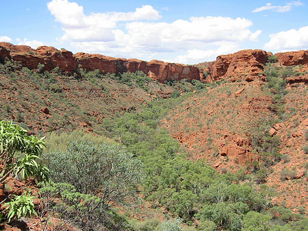 Fotos Kings Canyon