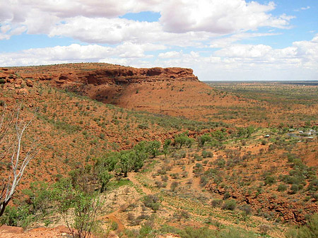 Kings Canyon Foto 