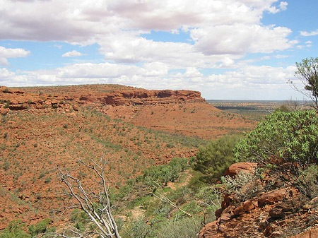 Foto Kings Canyon - 