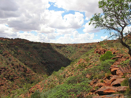 Kings Canyon Fotos