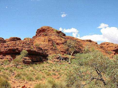 Foto Kings Canyon - 