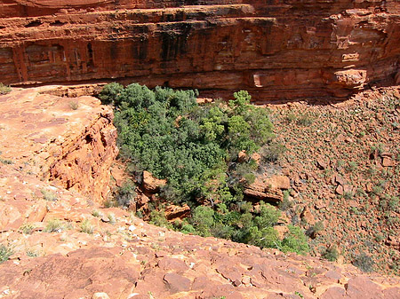 Foto Kings Canyon - 