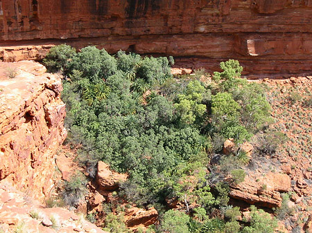 Kings Canyon Fotos