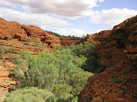 Kings Canyon Fotos