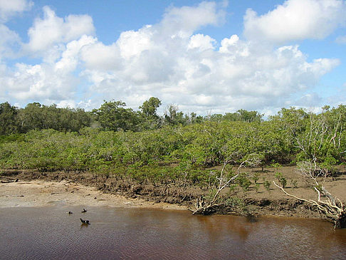 Foto Fraser Island - 