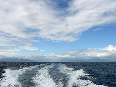 Foto Great Barrier Reef