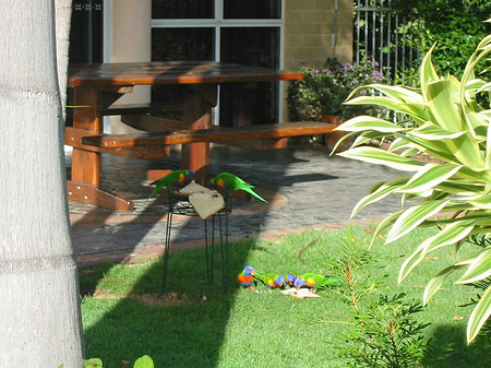 Hotel Ambassador Fotos