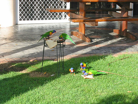 Hotel Ambassador Fotos