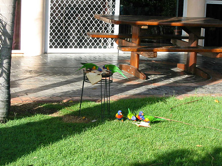 Hotel Ambassador Fotos