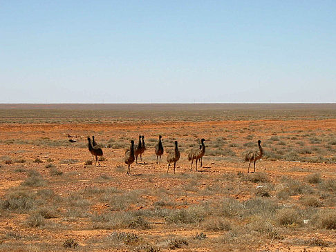 Coober Pedy Foto 