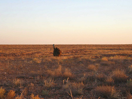 Fotos Outback | 